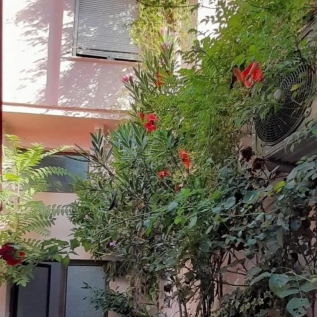 Arti Home At Selvia Τίρανα 0*,